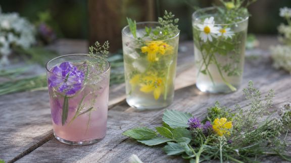Apéro sauvage : cocktails aux plantes et fleurs glanées